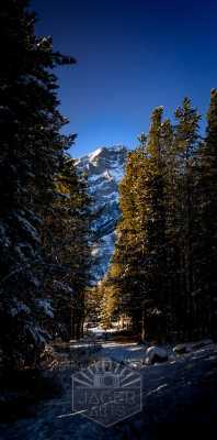 Travel and Architecture - Alberta Canada Rocky Mountains Forest