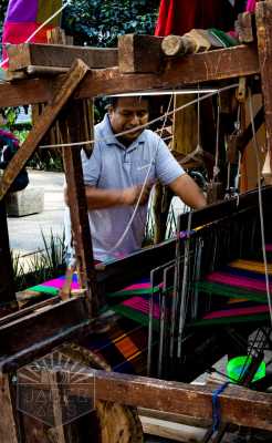 Travel and Architecture - Mexico CDMX Loom Master